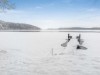 Innen