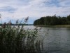 Aussen