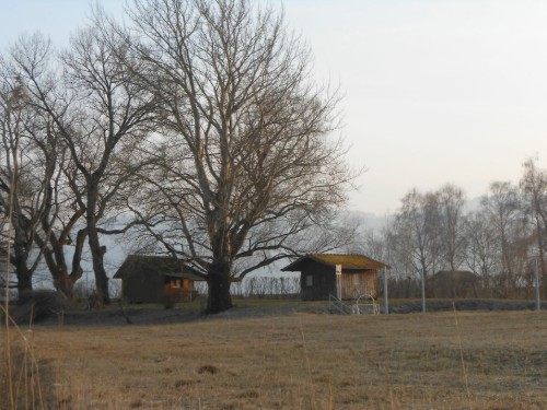 house-gallery