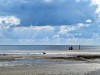 Blick über's Wasser