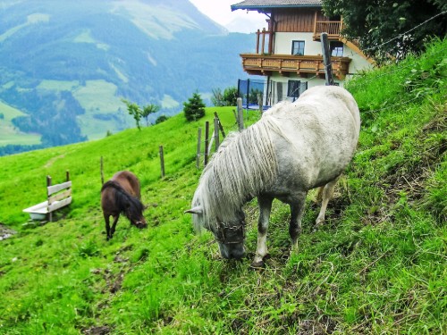 house-gallery