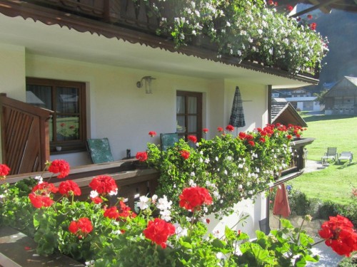 house-gallery