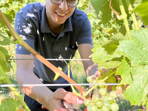 house-gallery