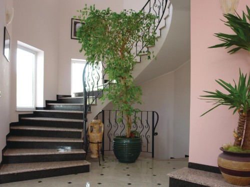 house-gallery