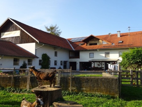 house-gallery