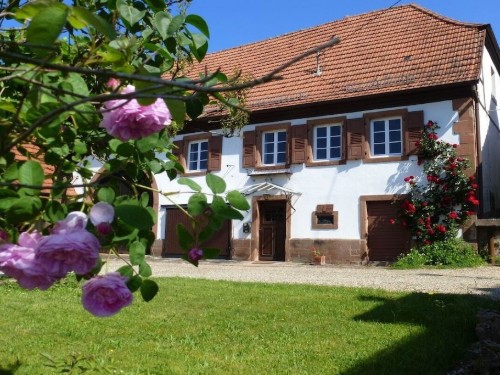 house-gallery
