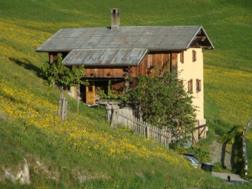 house-gallery