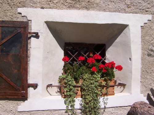 house-gallery