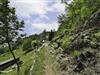 Aussen