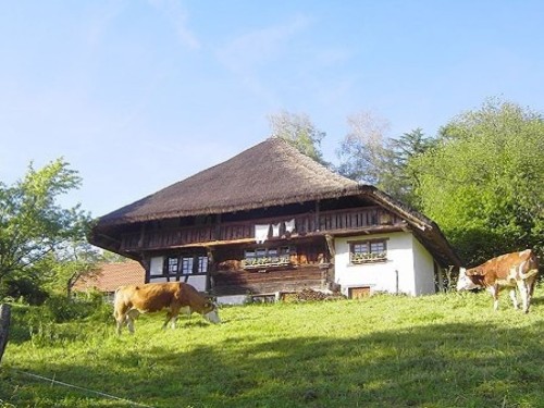house-gallery