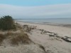 Blick über's Wasser