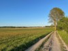 Aussen