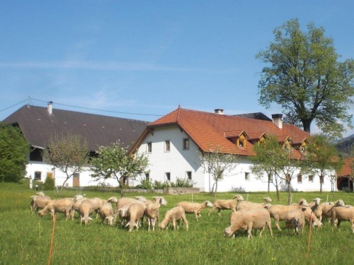 house-gallery