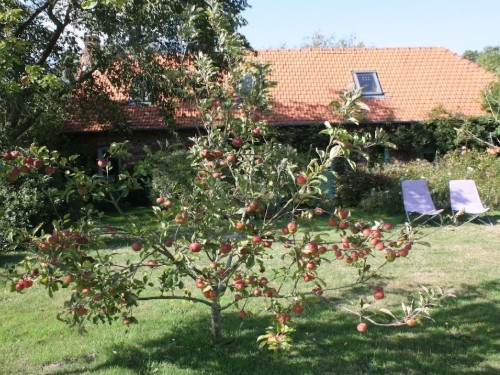 house-gallery