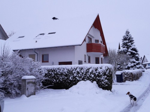 house-gallery