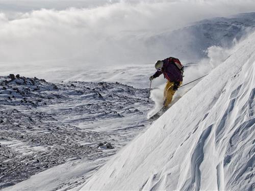 house-gallery