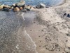 Blick über's Wasser