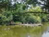 Blick über's Wasser