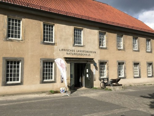 house-gallery