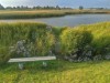 Blick über's Wasser