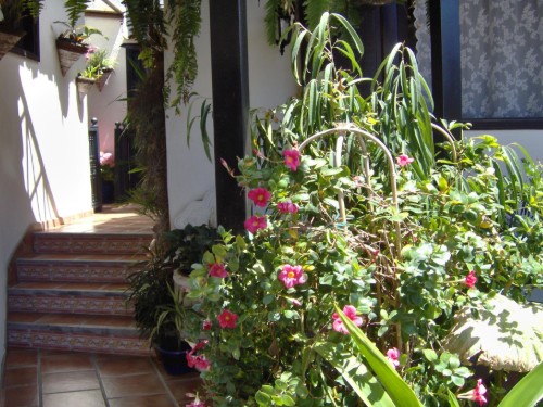 house-gallery