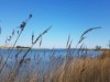 Blick über's Wasser