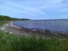 Blick über's Wasser