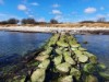 Blick über's Wasser
