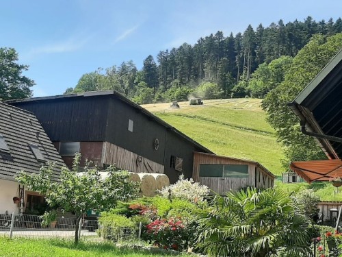 house-gallery