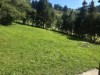 Aussen
