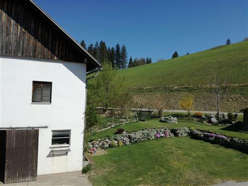 house-gallery