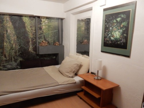 house-gallery