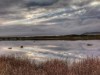 Blick über's Wasser