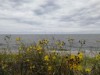 Ude