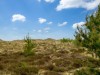 Aussicht