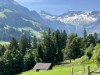 Aussen