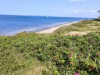 Udsigt over vand