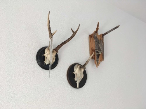 house-gallery