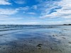 Blick über's Wasser