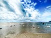 Blick über's Wasser