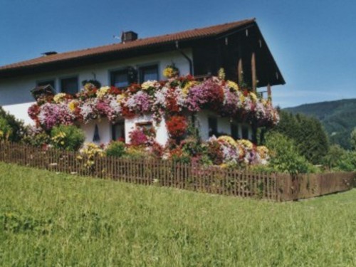 house-gallery