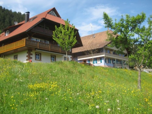 house-gallery