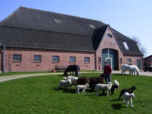 house-gallery