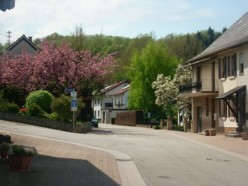 house-gallery