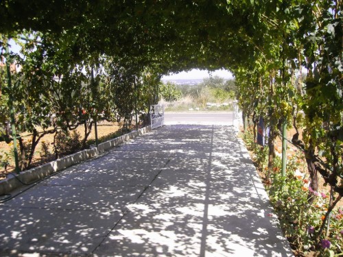 house-gallery