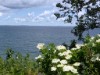 Udsigt over vand