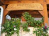 Ude