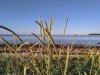 Blick über's Wasser