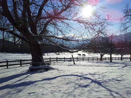 Emne nr.: 530-946261