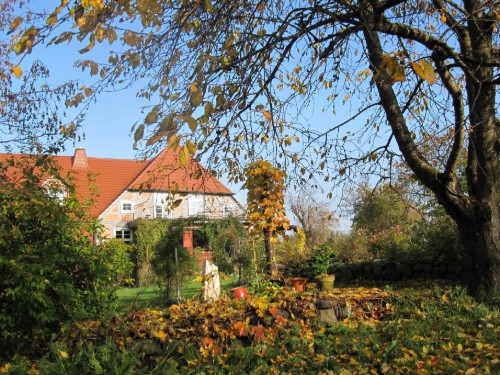 house-gallery